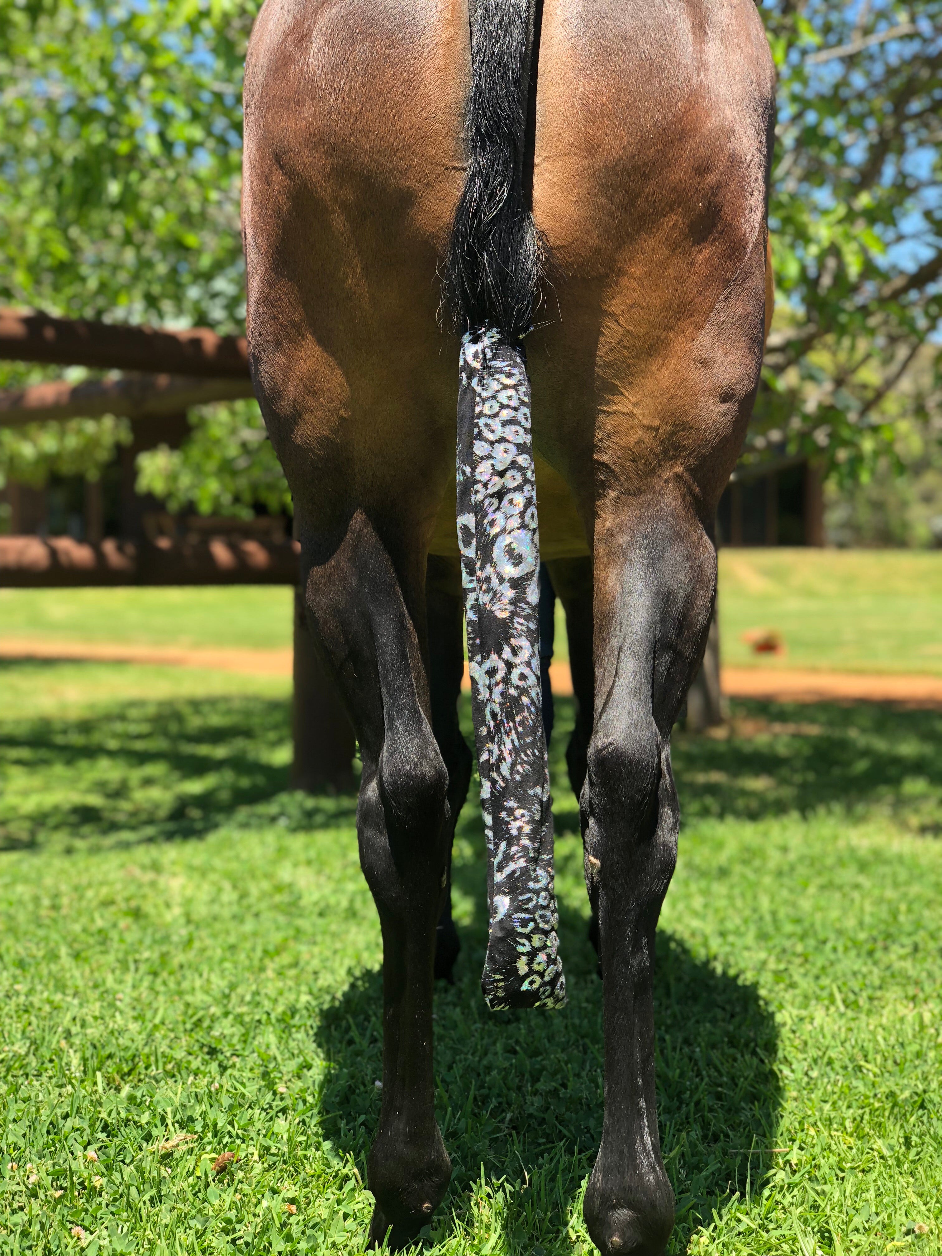 Tail Bags