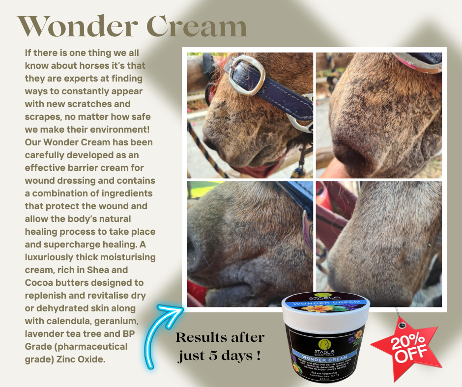 Stabe Essentials Wonder Cream