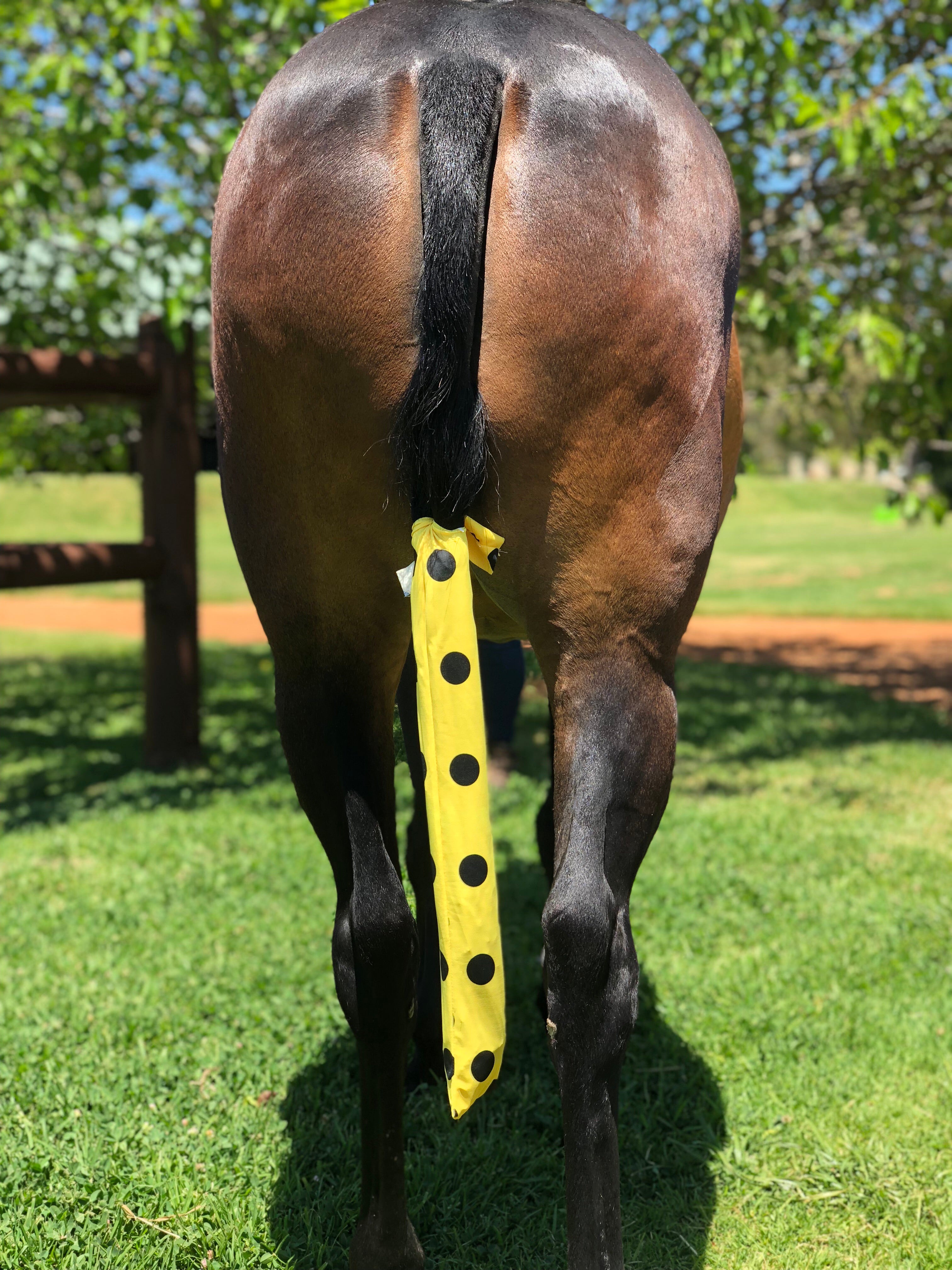 Tie In Tail Bag - Bumble