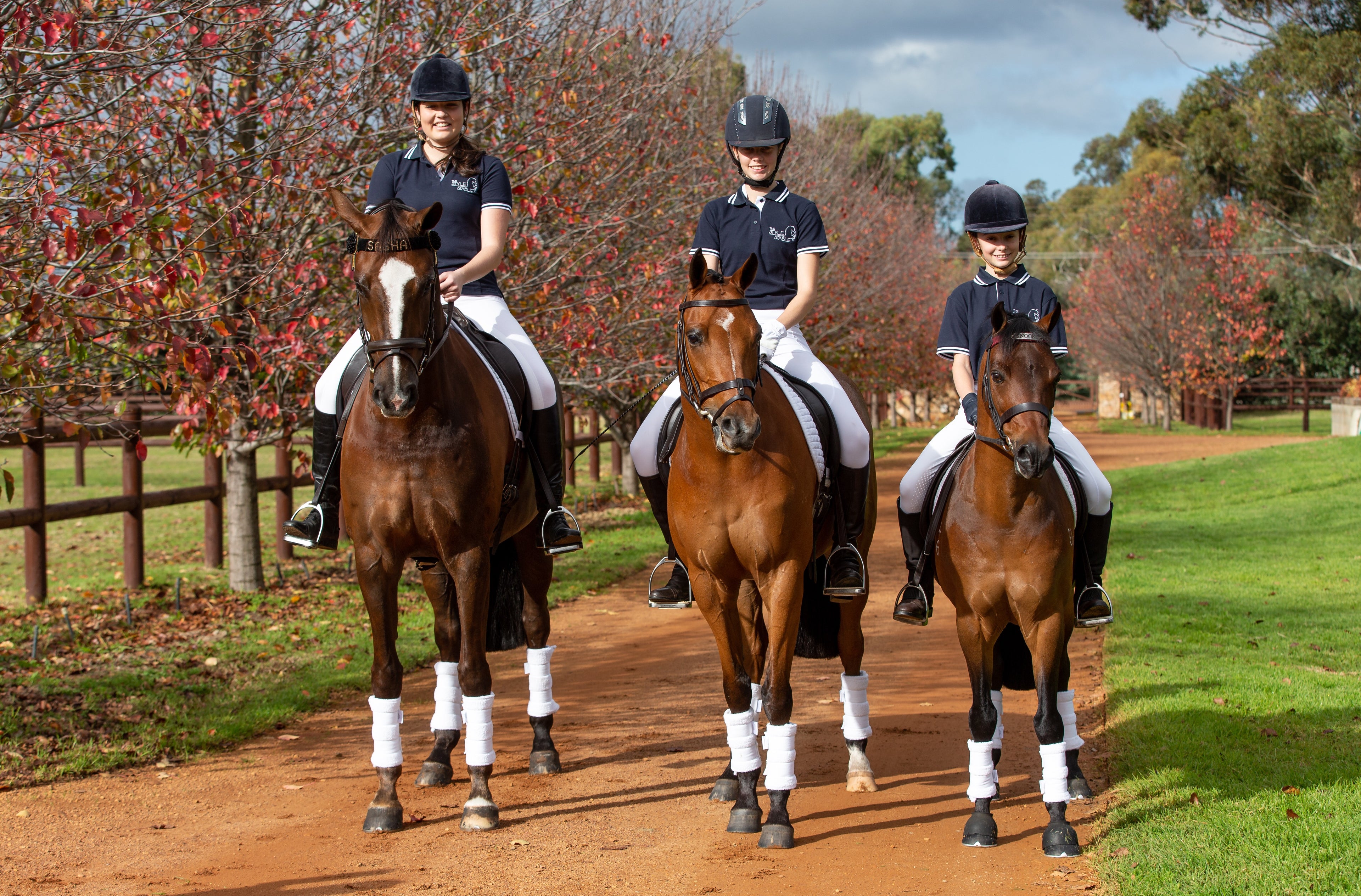 Dressage Towelling Wraps