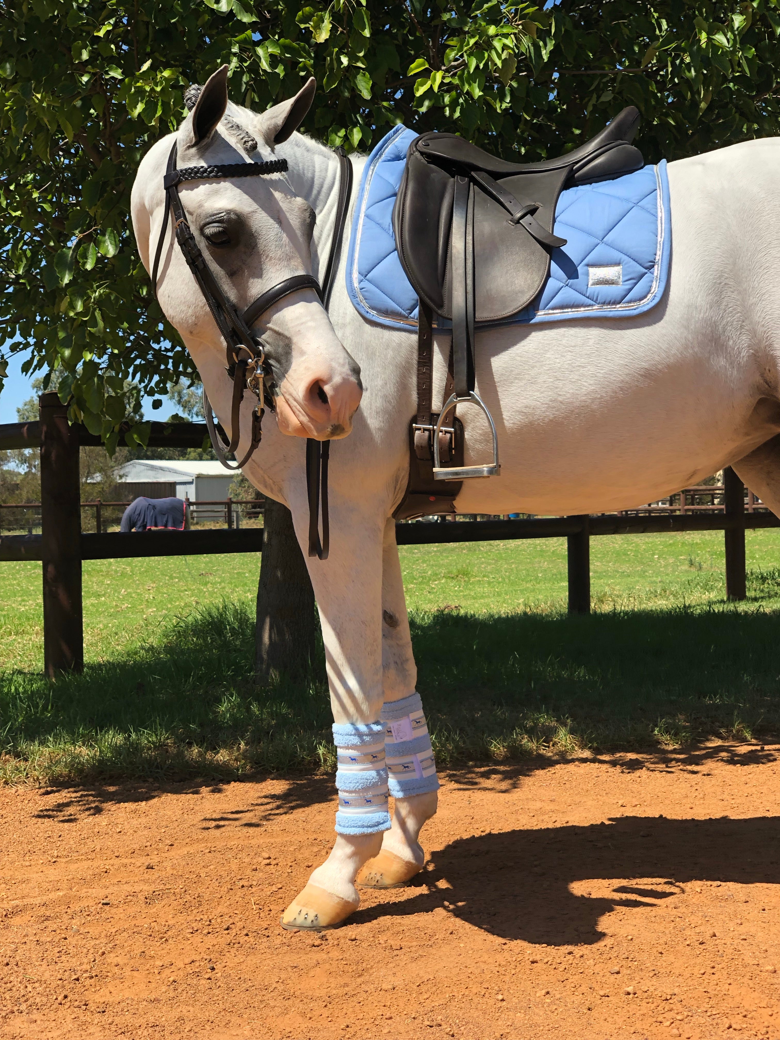 Deluxe Horse Boots - Blue Skies (set of 4)