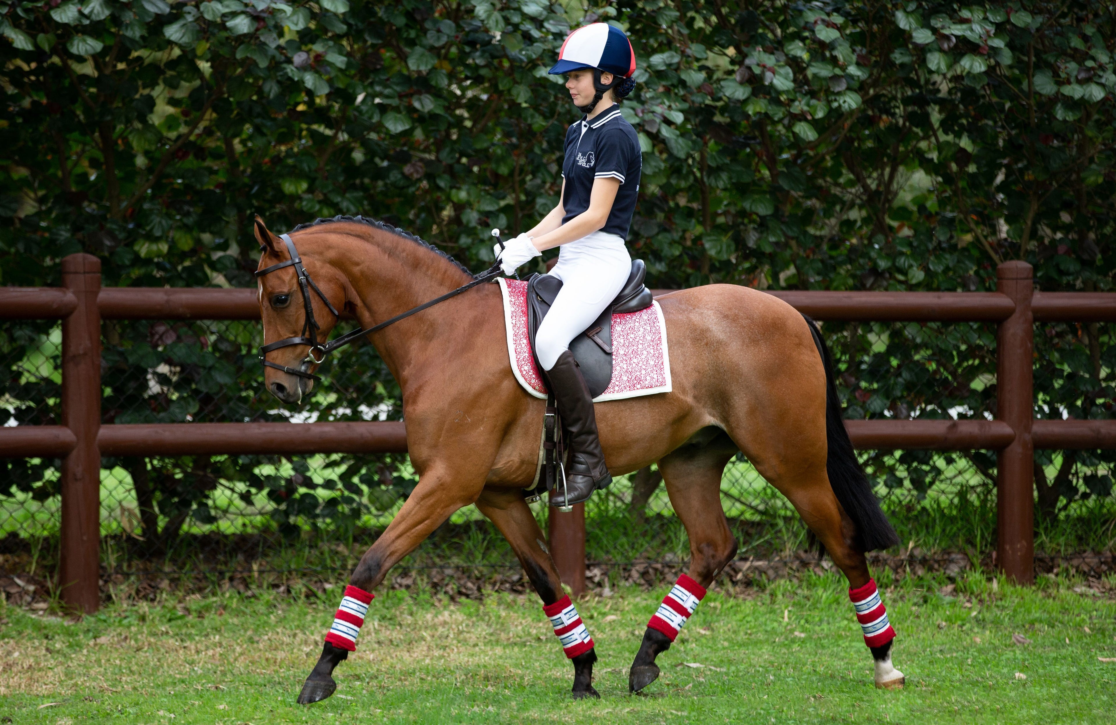 Deluxe Horse Boots - Red Champion (set of 4)