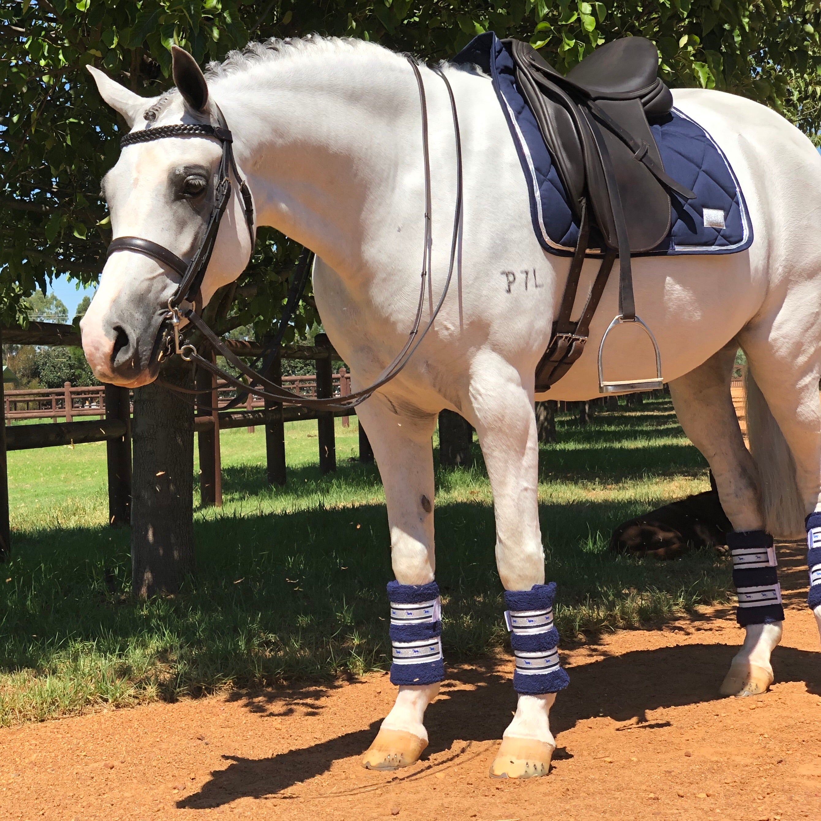 Deluxe Horse Boots - Classic Navy (set of 4)