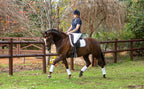 Dressage Towelling Wraps