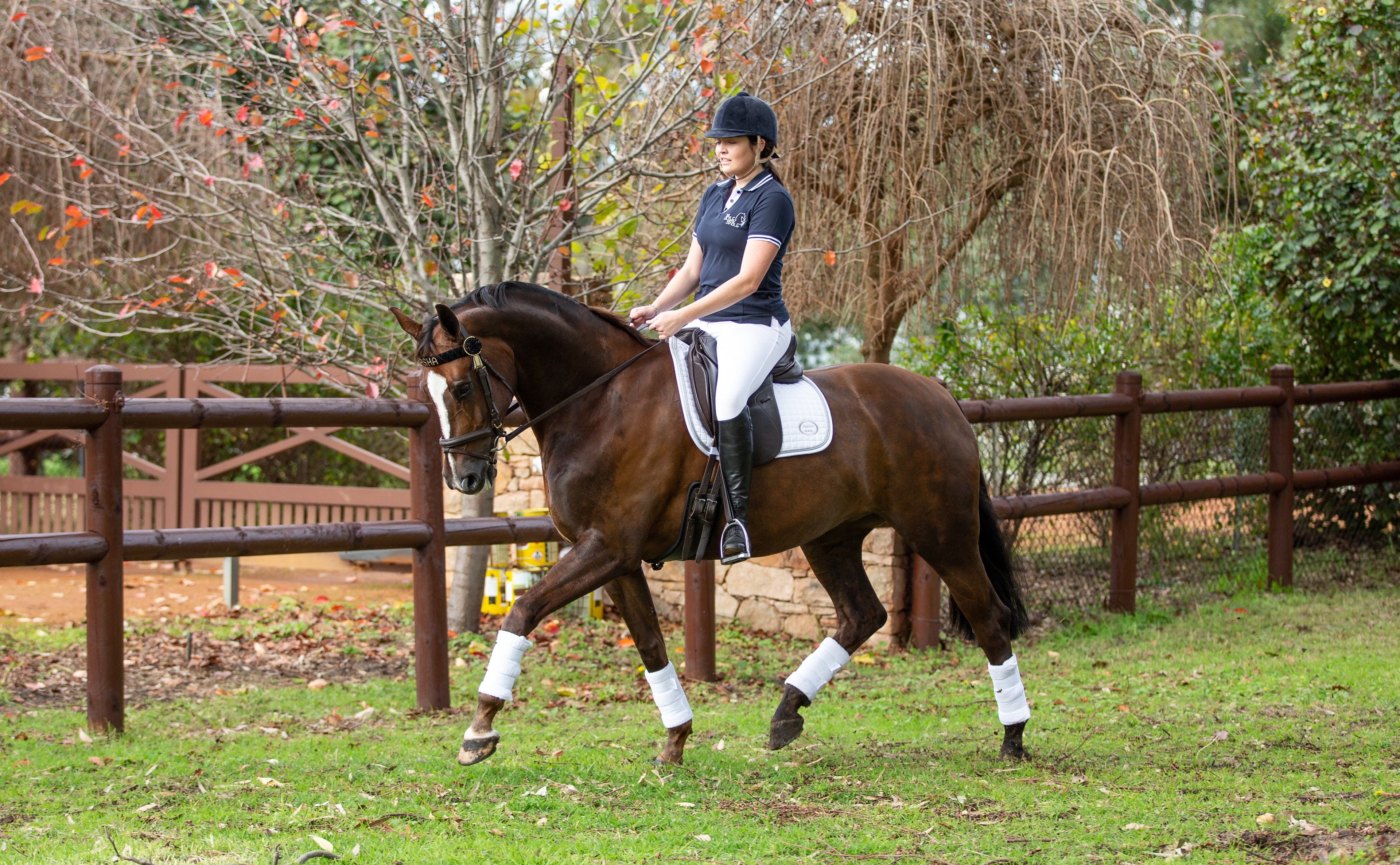 Dressage Towelling Wraps