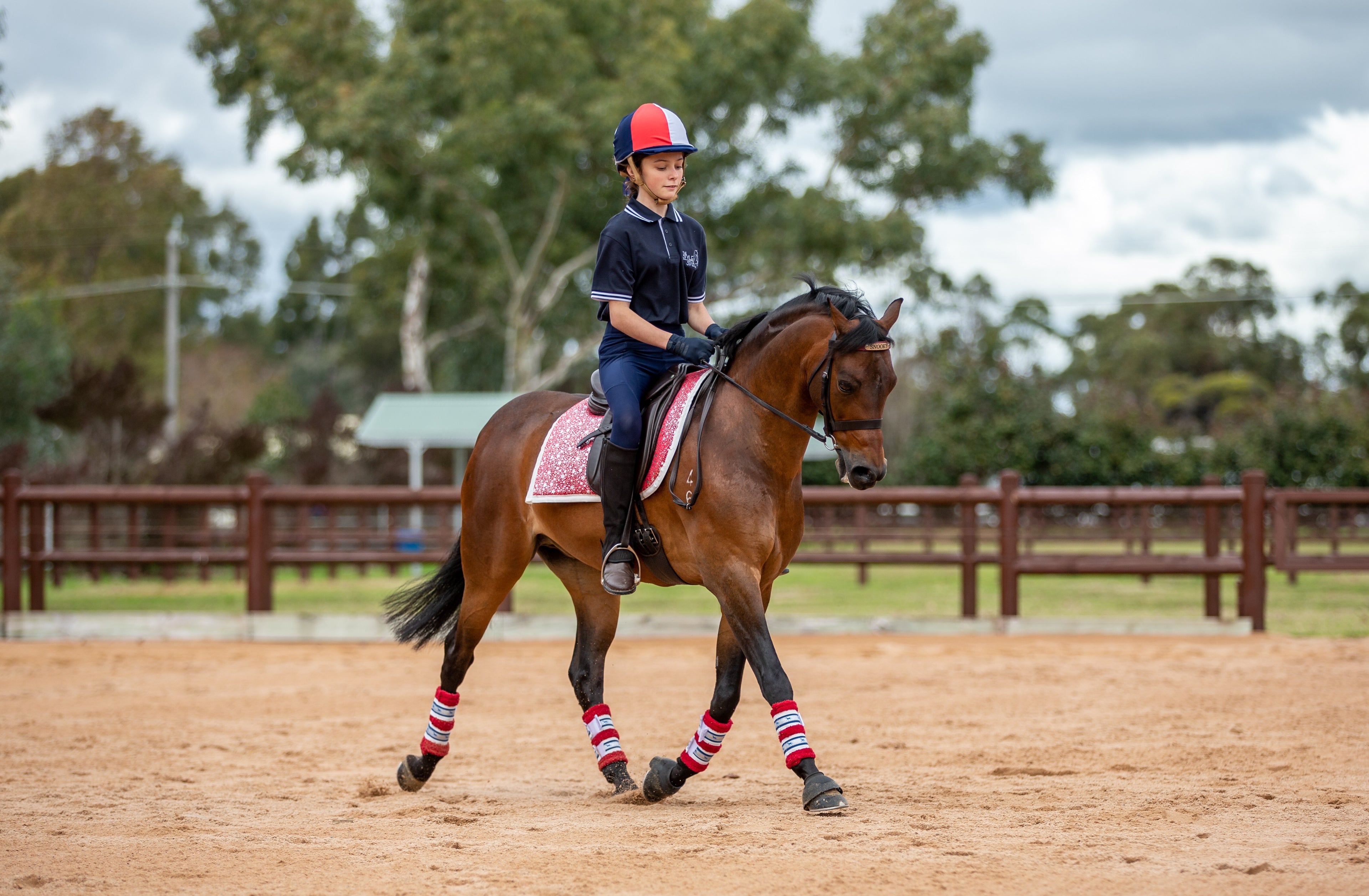 Deluxe Horse Boots - Red Champion (set of 4)