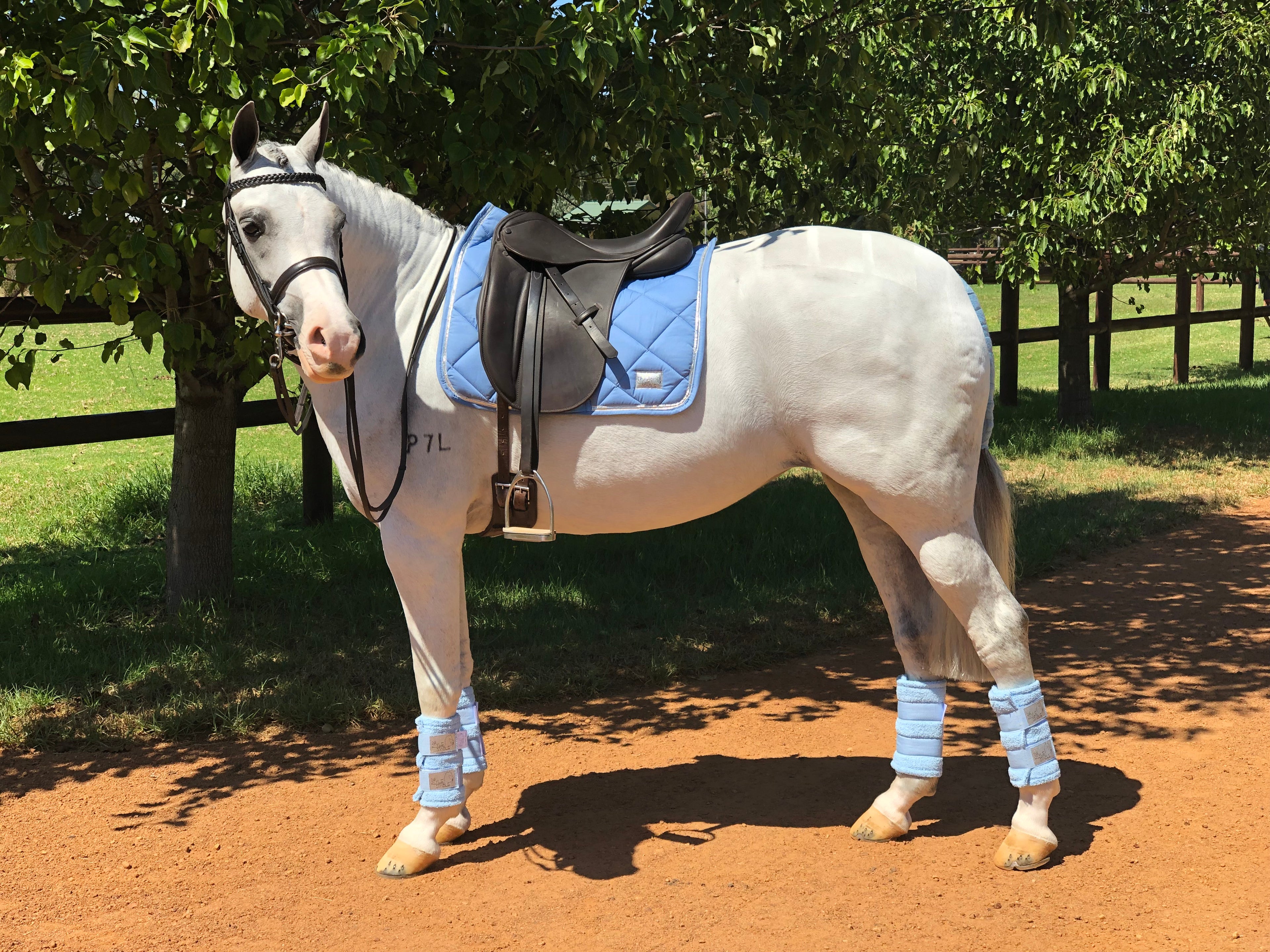 Platinum Towelling Boots - Sky Blue