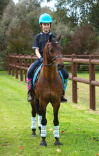 Deluxe Horse Boots - Blue Skies (set of 4)